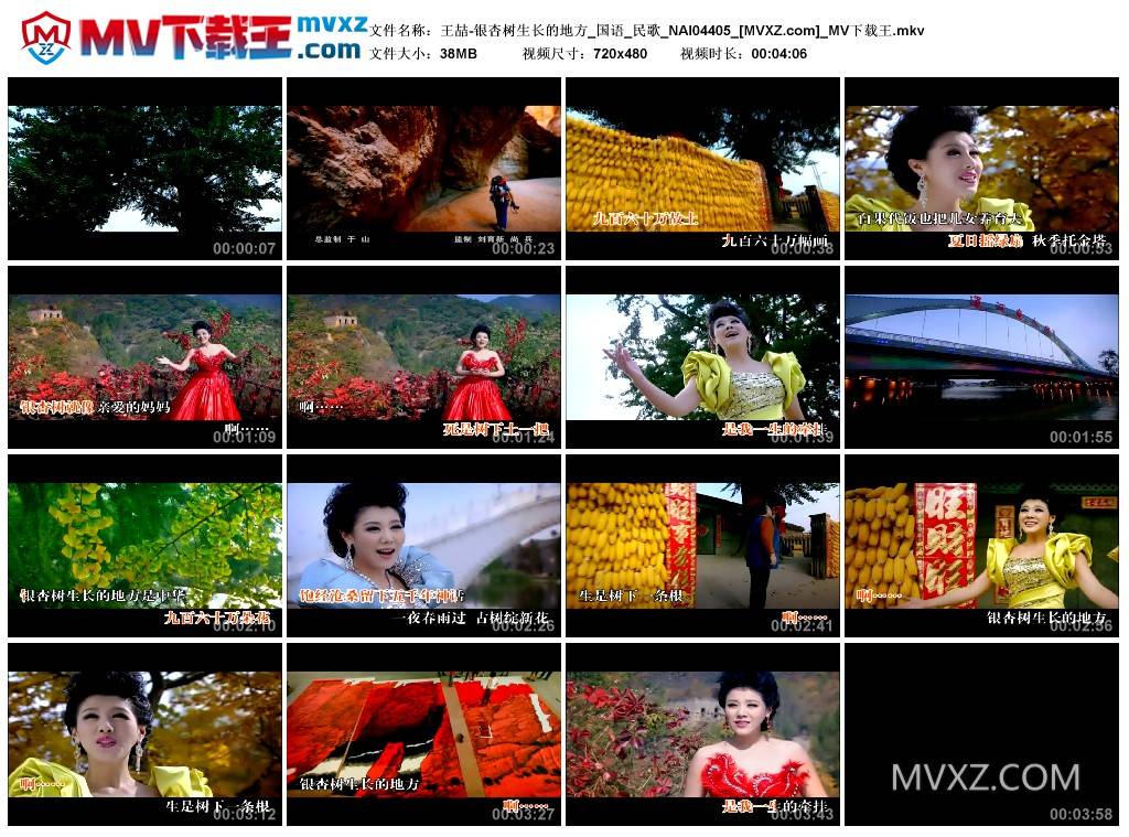 王喆-银杏树生长的地方_国语_民歌_NAI04405